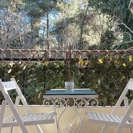 Forest Salonica Daire