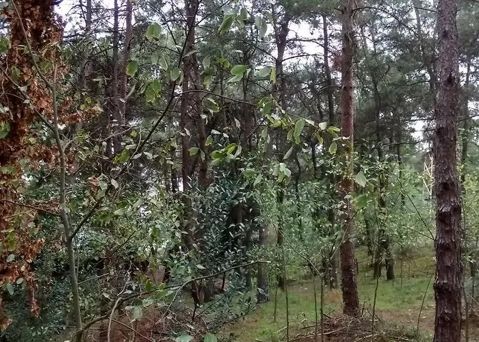 شقة Forest Salonica