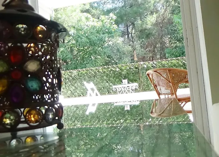 Forest Salonica سالونيك