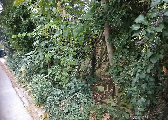 아파트 Forest Salonica 테살로니키